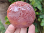 Polished One Side Polychrome Jasper Nodules x 12 From Androka, Madagascar