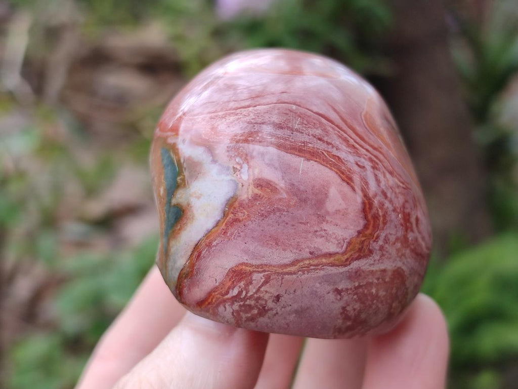 Polished One Side Polychrome Jasper Nodules x 12 From Androka, Madagascar