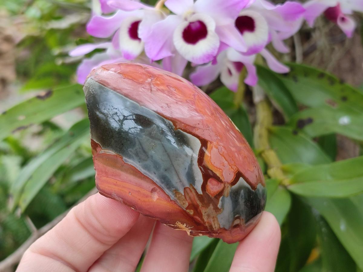 Polished One Side Polychrome Jasper Nodules x 12 From Androka, Madagascar