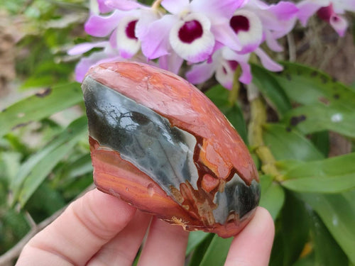 Polished One Side Polychrome Jasper Nodules x 12 From Androka, Madagascar