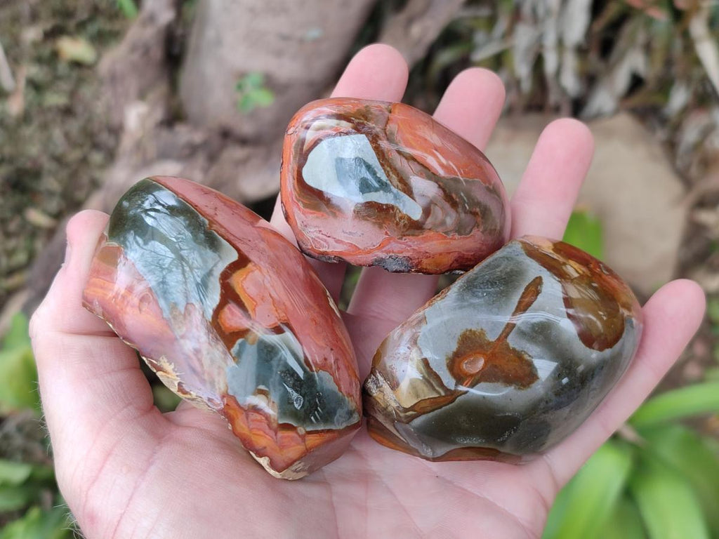 Polished One Side Polychrome Jasper Nodules x 12 From Androka, Madagascar