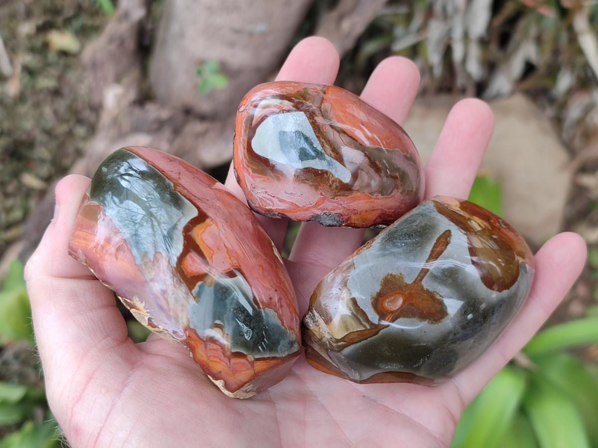 Polished One Side Polychrome Jasper Nodules x 12 From Androka, Madagascar