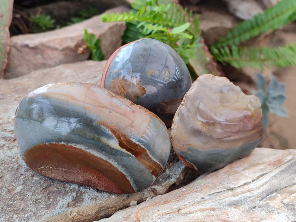 Polished One Side Polychrome Jasper Nodules x 12 From Androka, Madagascar