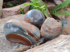 Polished One Side Polychrome Jasper Nodules x 12 From Androka, Madagascar