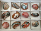 Polished One Side Polychrome Jasper Nodules x 12 From Androka, Madagascar