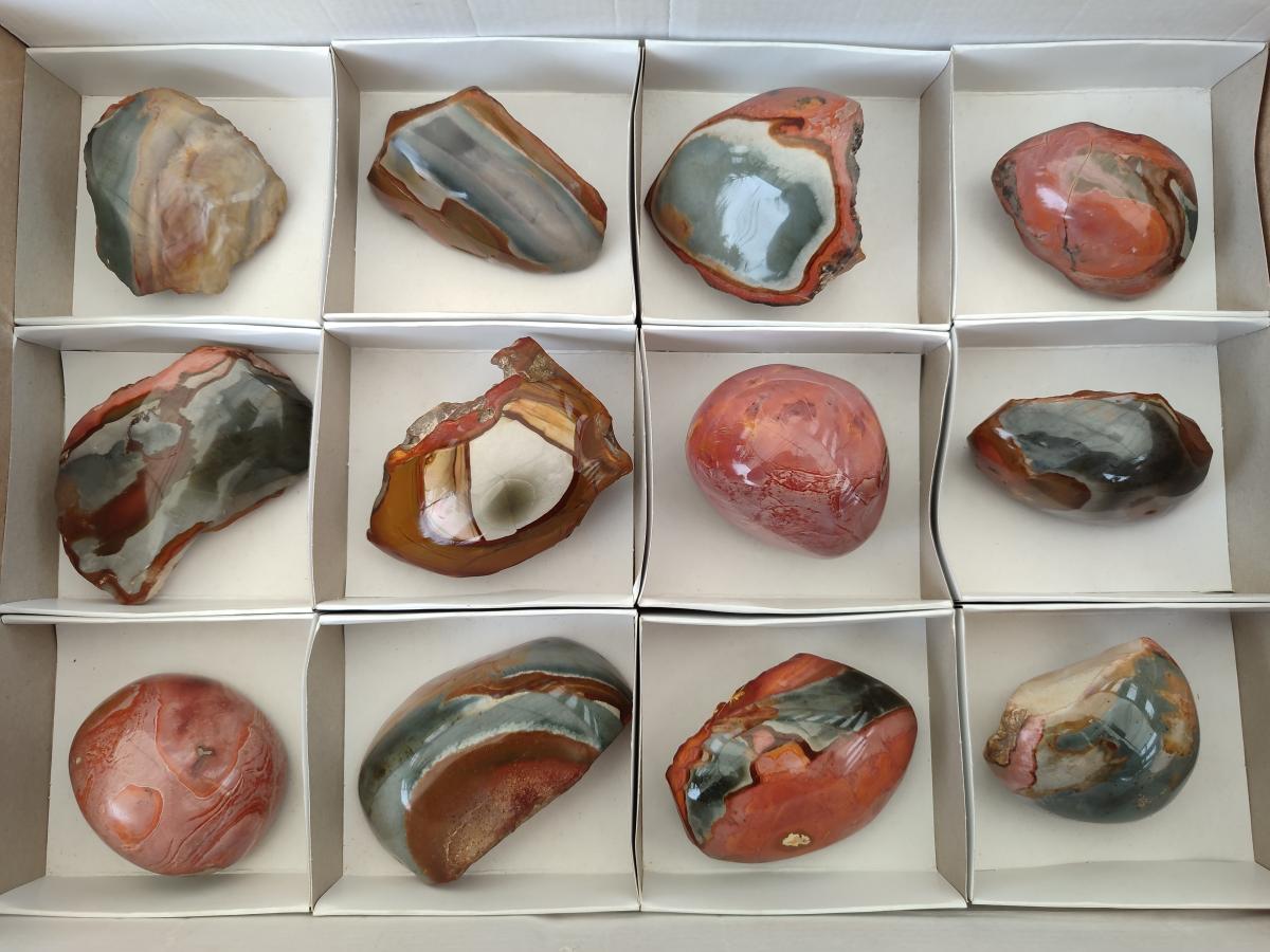 Polished One Side Polychrome Jasper Nodules x 12 From Androka, Madagascar
