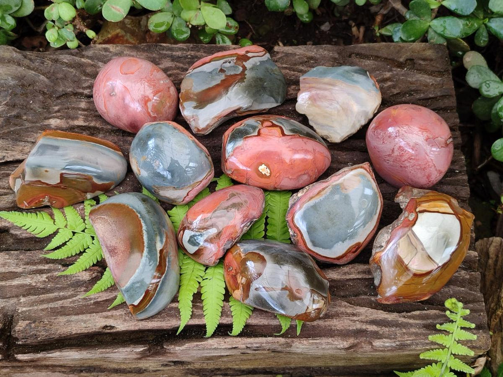 Polished One Side Polychrome Jasper Nodules x 12 From Androka, Madagascar