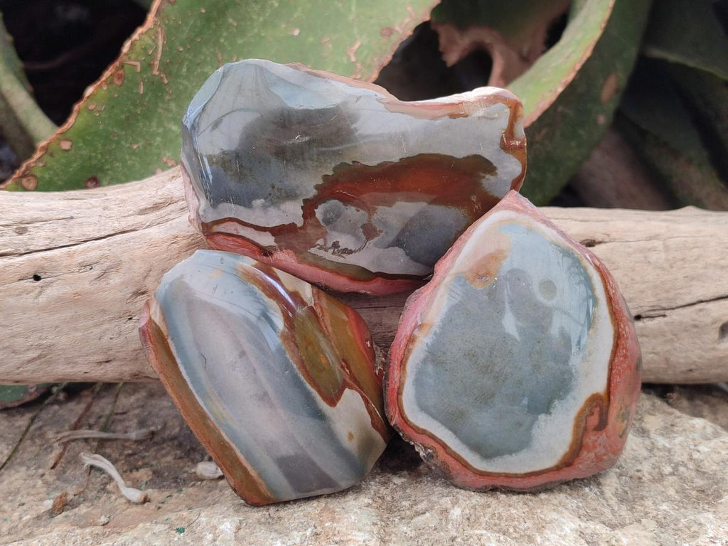 Polished One Side Polychrome Jasper Nodules x 12 From Androka, Madagascar