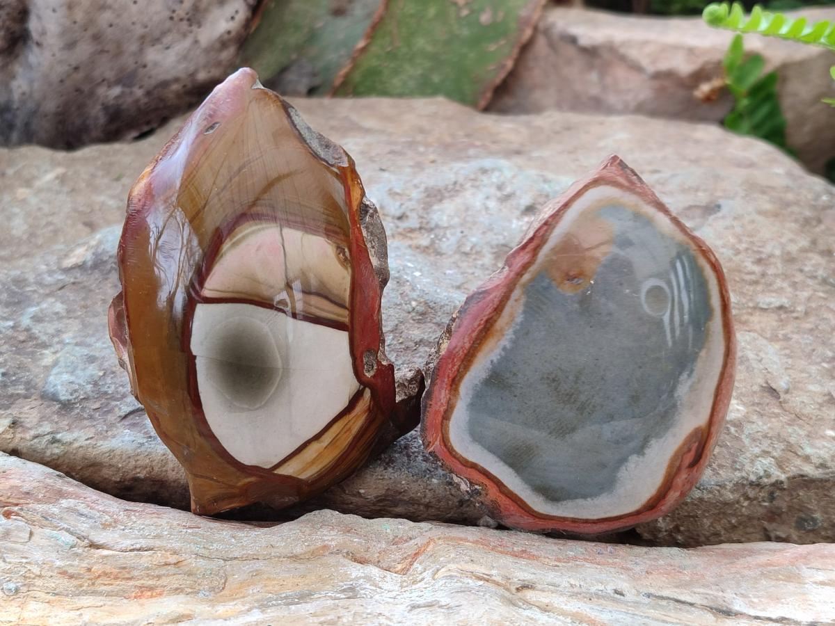 Polished One Side Polychrome Jasper Nodules x 12 From Androka, Madagascar