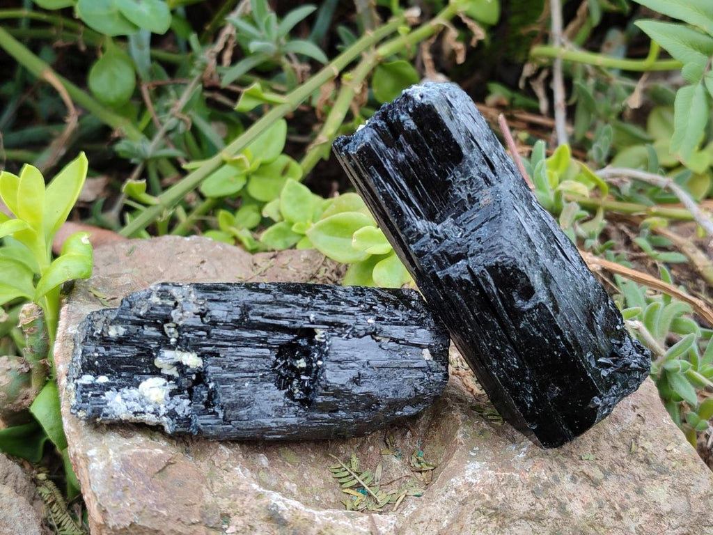Natural Schorl Black Tourmaline Crystal Specimens x 12 From Erongo, Namibia