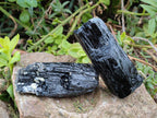 Natural Schorl Black Tourmaline Crystal Specimens x 12 From Erongo, Namibia