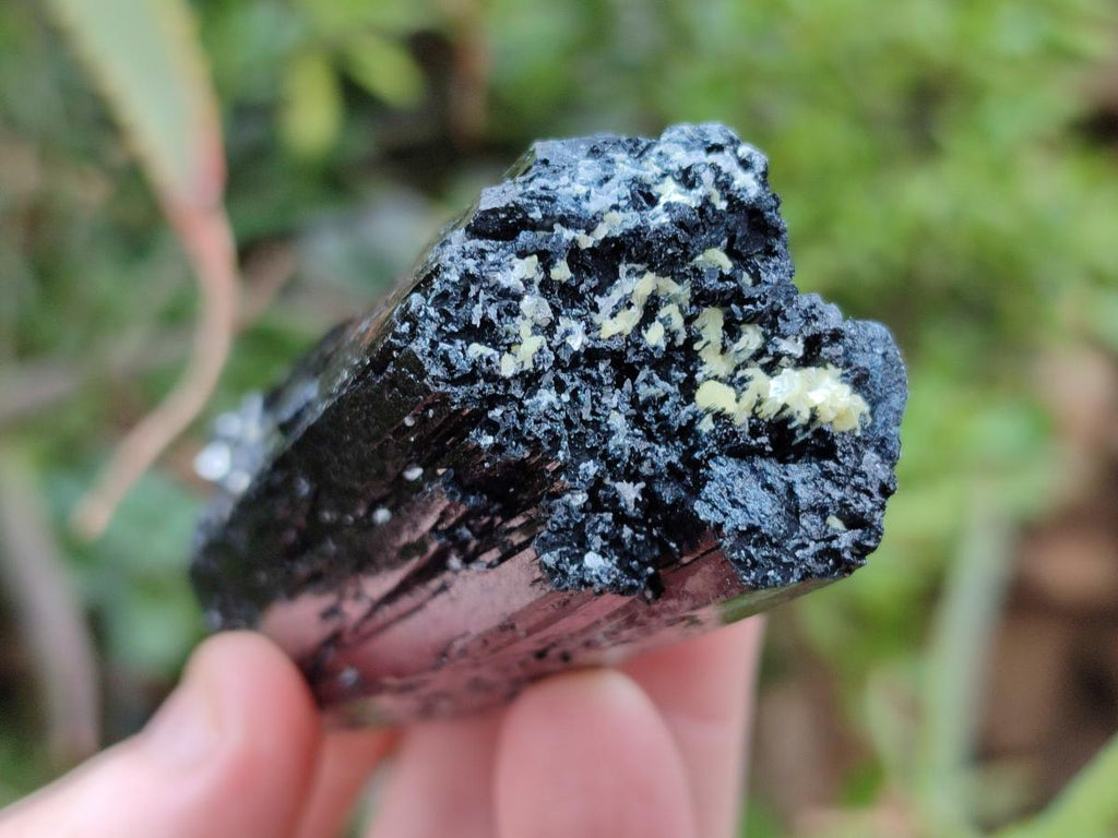 Natural Schorl Black Tourmaline Crystal Specimens x 12 From Erongo, Namibia