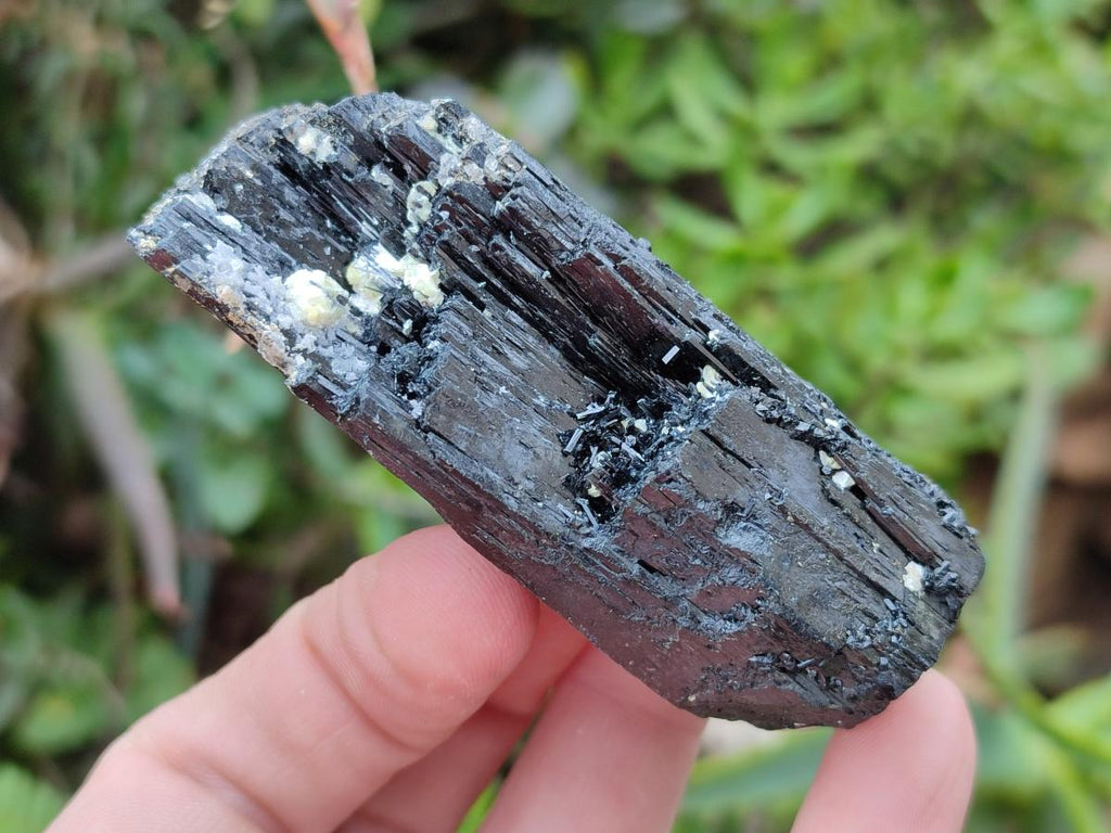Natural Schorl Black Tourmaline Crystal Specimens x 12 From Erongo, Namibia
