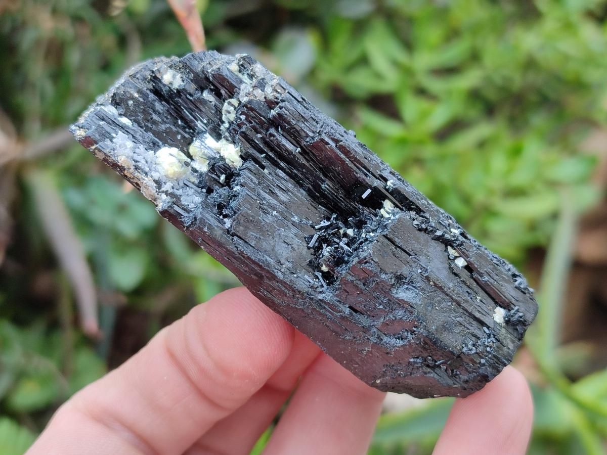 Natural Schorl Black Tourmaline Crystal Specimens x 12 From Erongo, Namibia