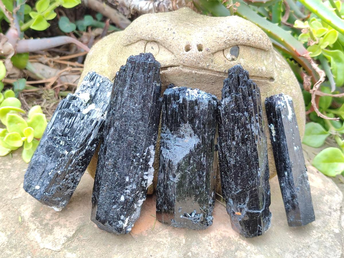 Natural Schorl Black Tourmaline Crystal Specimens x 12 From Erongo, Namibia