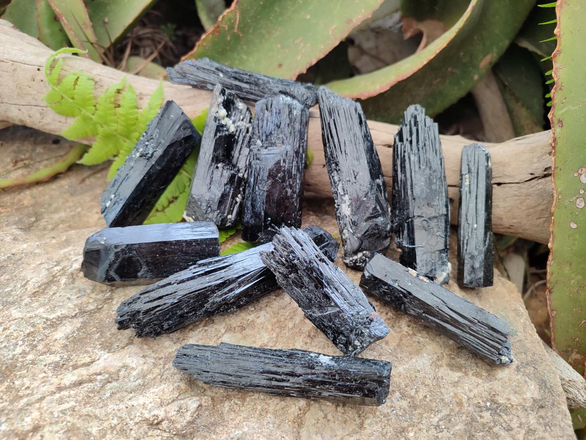 Natural Schorl Black Tourmaline Crystal Specimens x 12 From Erongo, Namibia