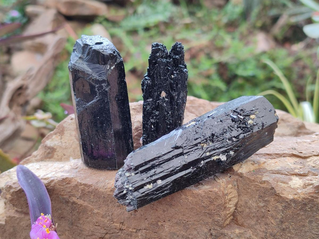 Natural Schorl Black Tourmaline Crystal Specimens x 12 From Erongo, Namibia