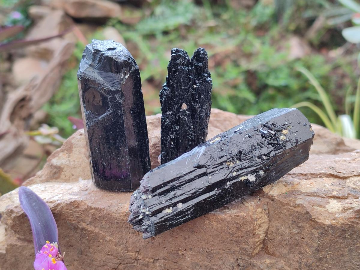 Natural Schorl Black Tourmaline Crystal Specimens x 12 From Erongo, Namibia