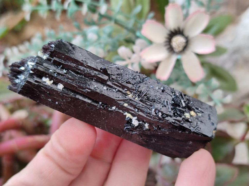 Natural Schorl Black Tourmaline Crystal Specimens x 12 From Erongo, Namibia