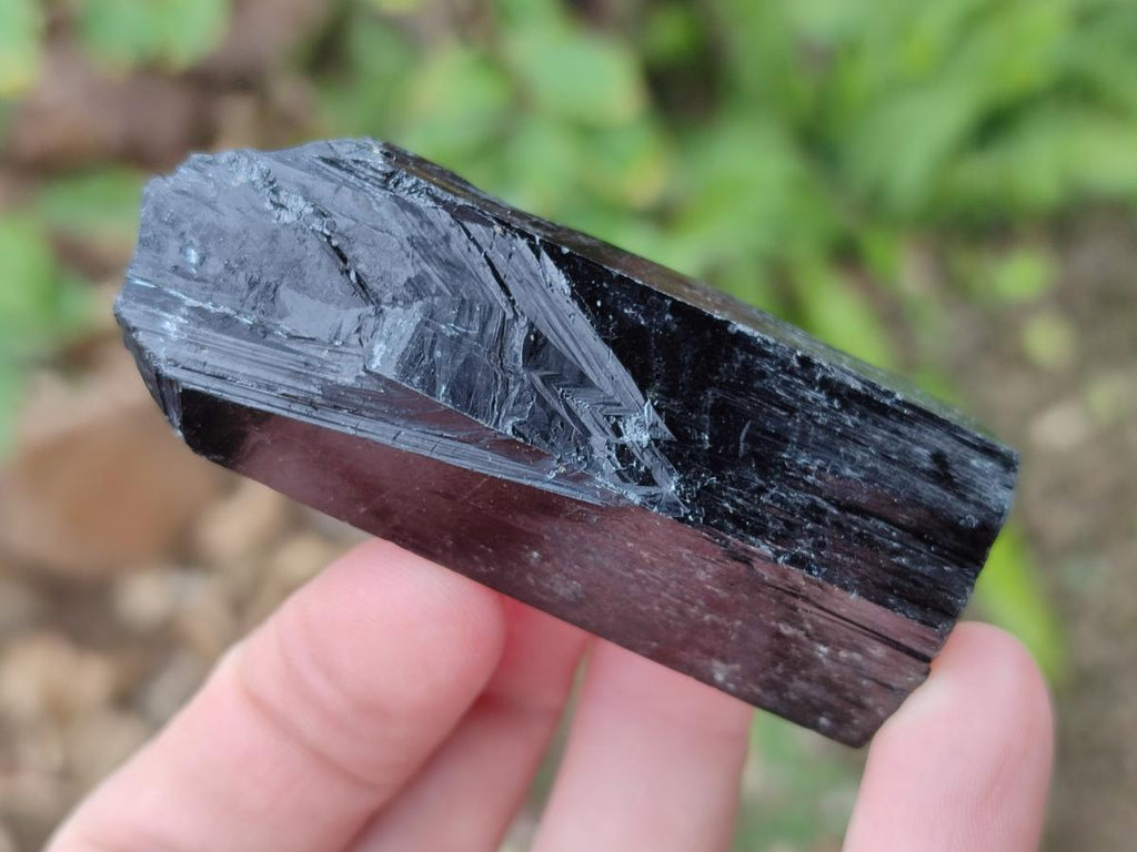 Natural Schorl Black Tourmaline Crystal Specimens x 12 From Erongo, Namibia