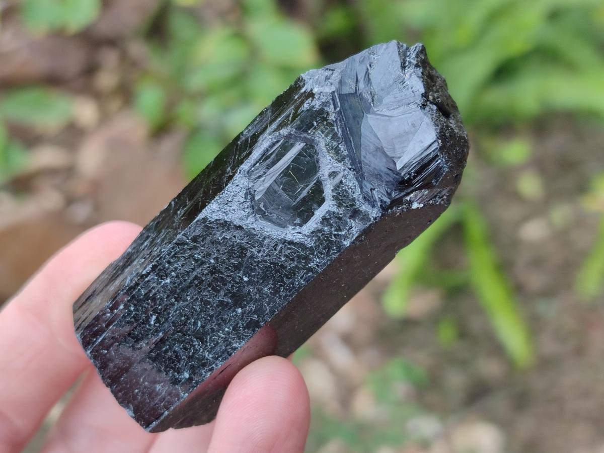 Natural Schorl Black Tourmaline Crystal Specimens x 12 From Erongo, Namibia