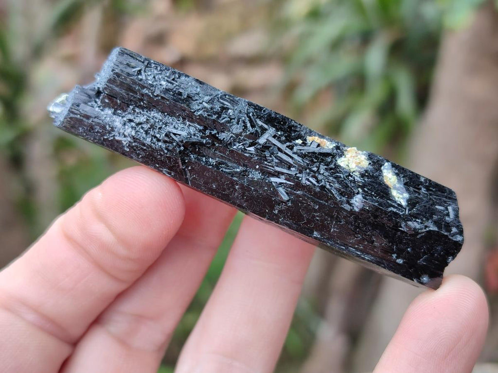 Natural Schorl Black Tourmaline Crystal Specimens x 12 From Erongo, Namibia