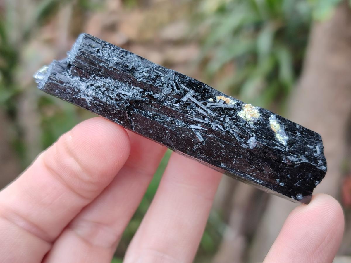 Natural Schorl Black Tourmaline Crystal Specimens x 12 From Erongo, Namibia