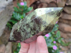 Polished Double Terminated Leopard Stone Crystals x 6 From Zimbabwe