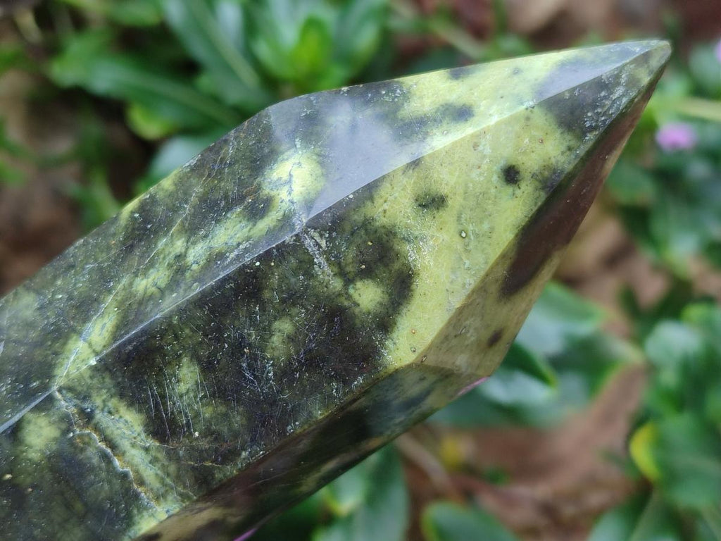 Polished Double Terminated Leopard Stone Crystals x 6 From Zimbabwe