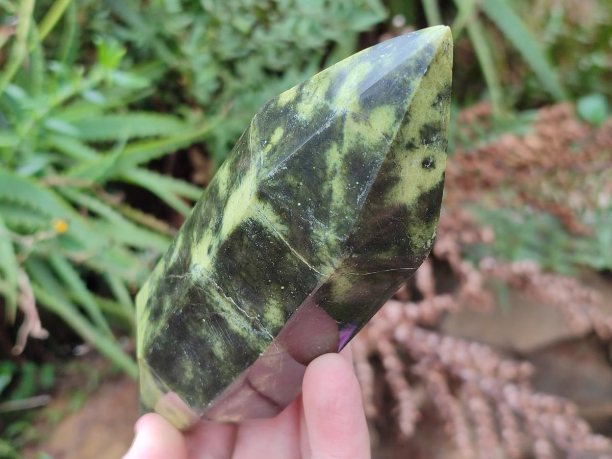 Polished Double Terminated Leopard Stone Crystals x 6 From Zimbabwe