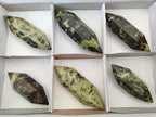 Polished Double Terminated Leopard Stone Crystals x 6 From Zimbabwe
