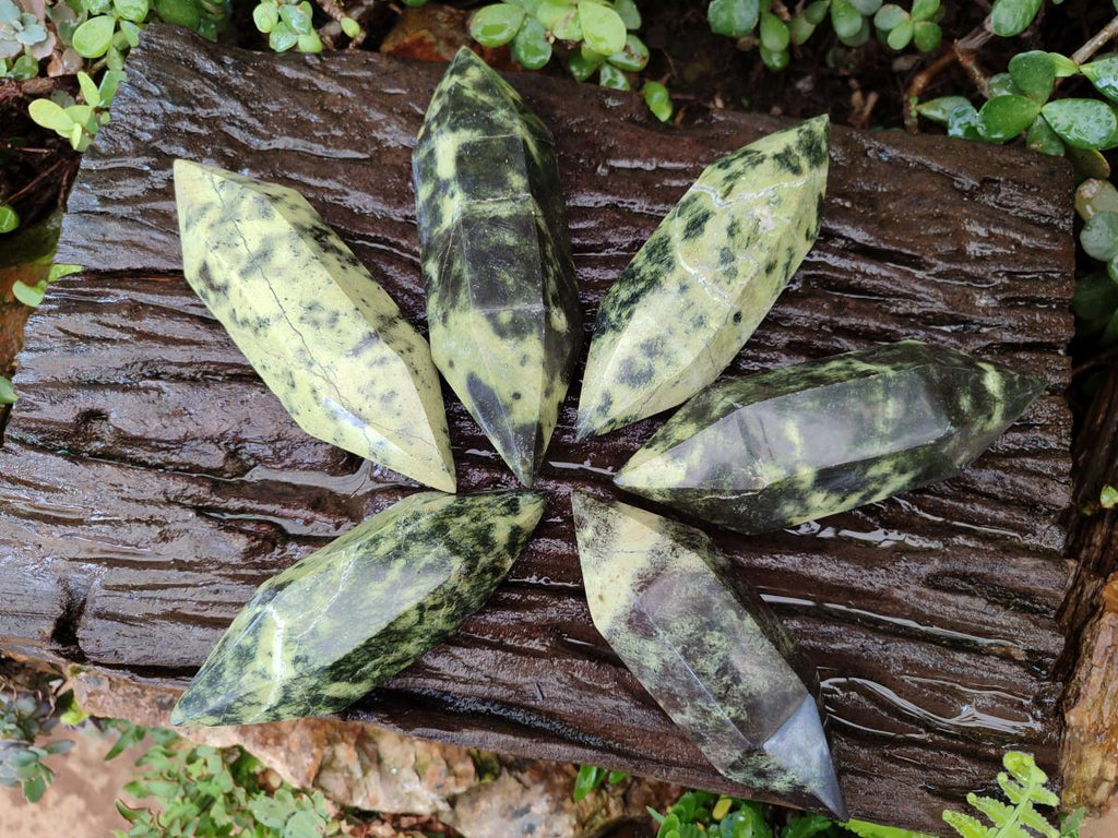 Polished Double Terminated Leopard Stone Crystals x 6 From Zimbabwe