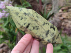 Polished Double Terminated Leopard Stone Crystals x 6 From Zimbabwe