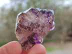 Natural Window Amethyst Crystals x 39 From Chiredzi, Zimbabwe
