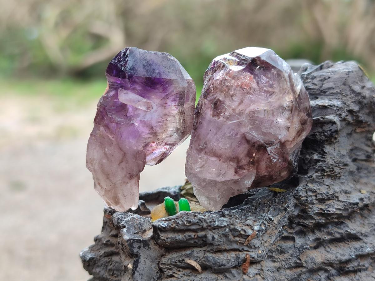 Natural Window Amethyst Crystals x 39 From Chiredzi, Zimbabwe