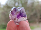 Natural Window Amethyst Crystals x 39 From Chiredzi, Zimbabwe
