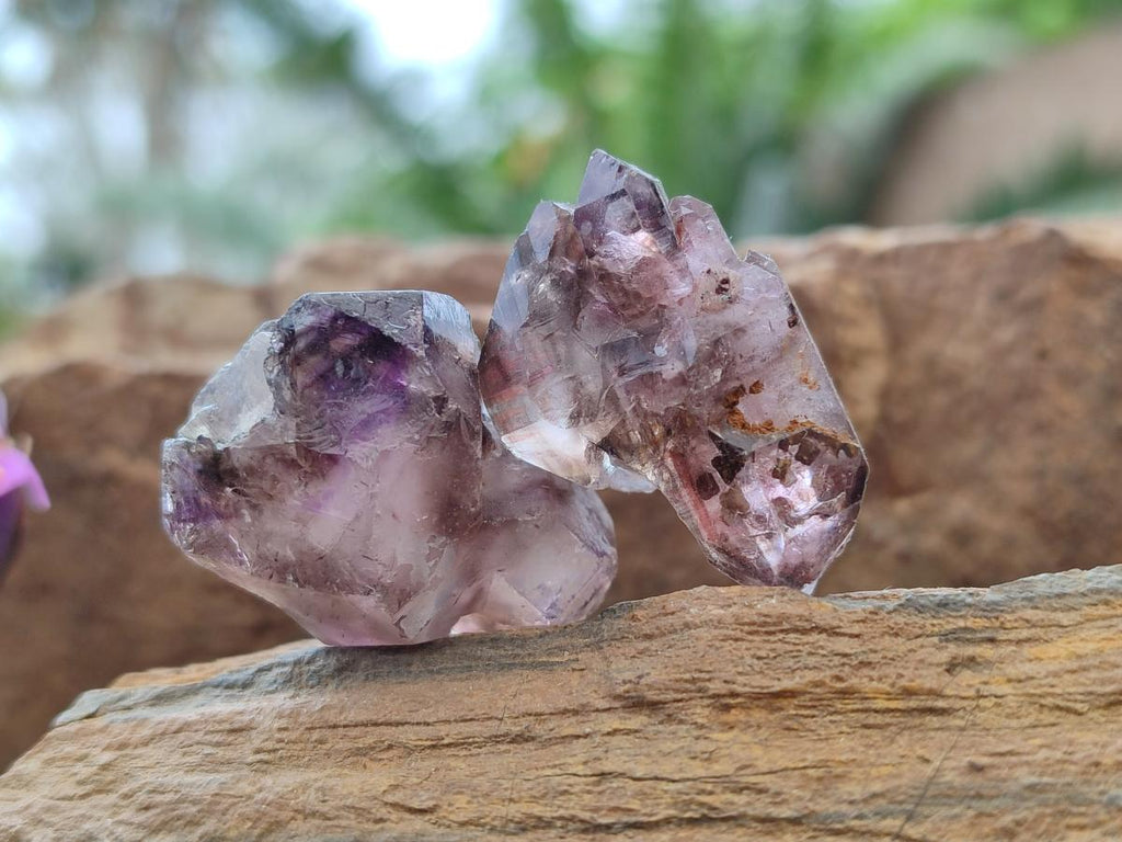 Natural Window Amethyst Crystals x 39 From Chiredzi, Zimbabwe