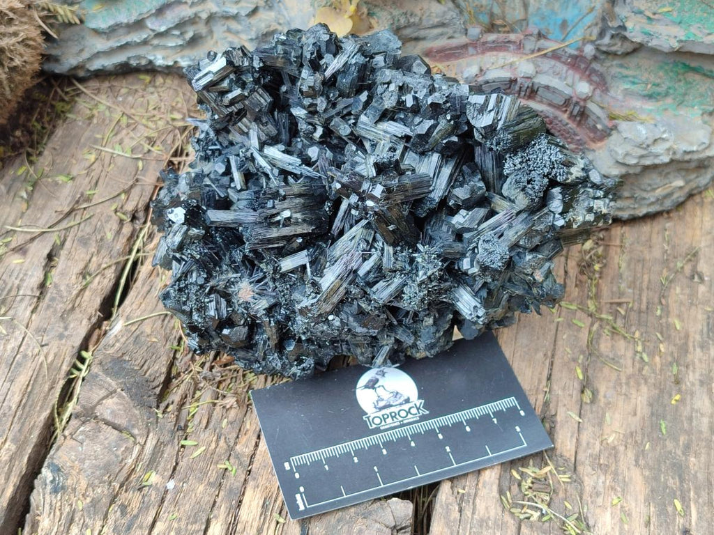 Natural Large Schorl Black Tourmaline Floater Specimen x 1 From Erongo, Namibia