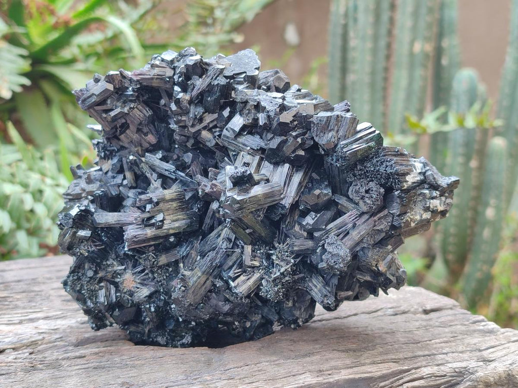 Natural Large Schorl Black Tourmaline Floater Specimen x 1 From Erongo, Namibia