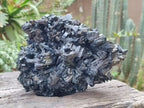 Natural Large Schorl Black Tourmaline Floater Specimen x 1 From Erongo, Namibia