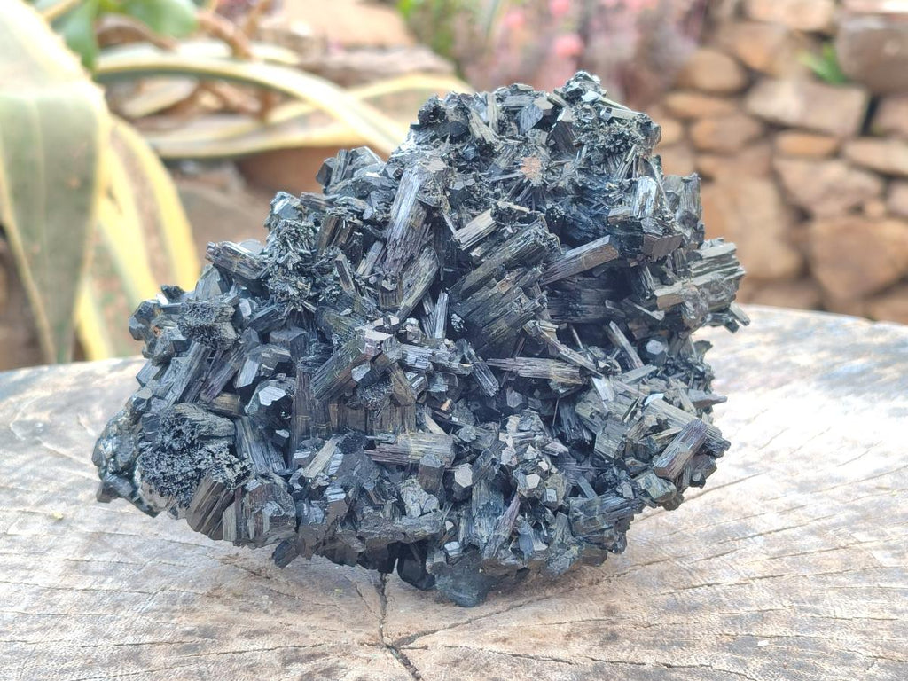Natural Large Schorl Black Tourmaline Floater Specimen x 1 From Erongo, Namibia