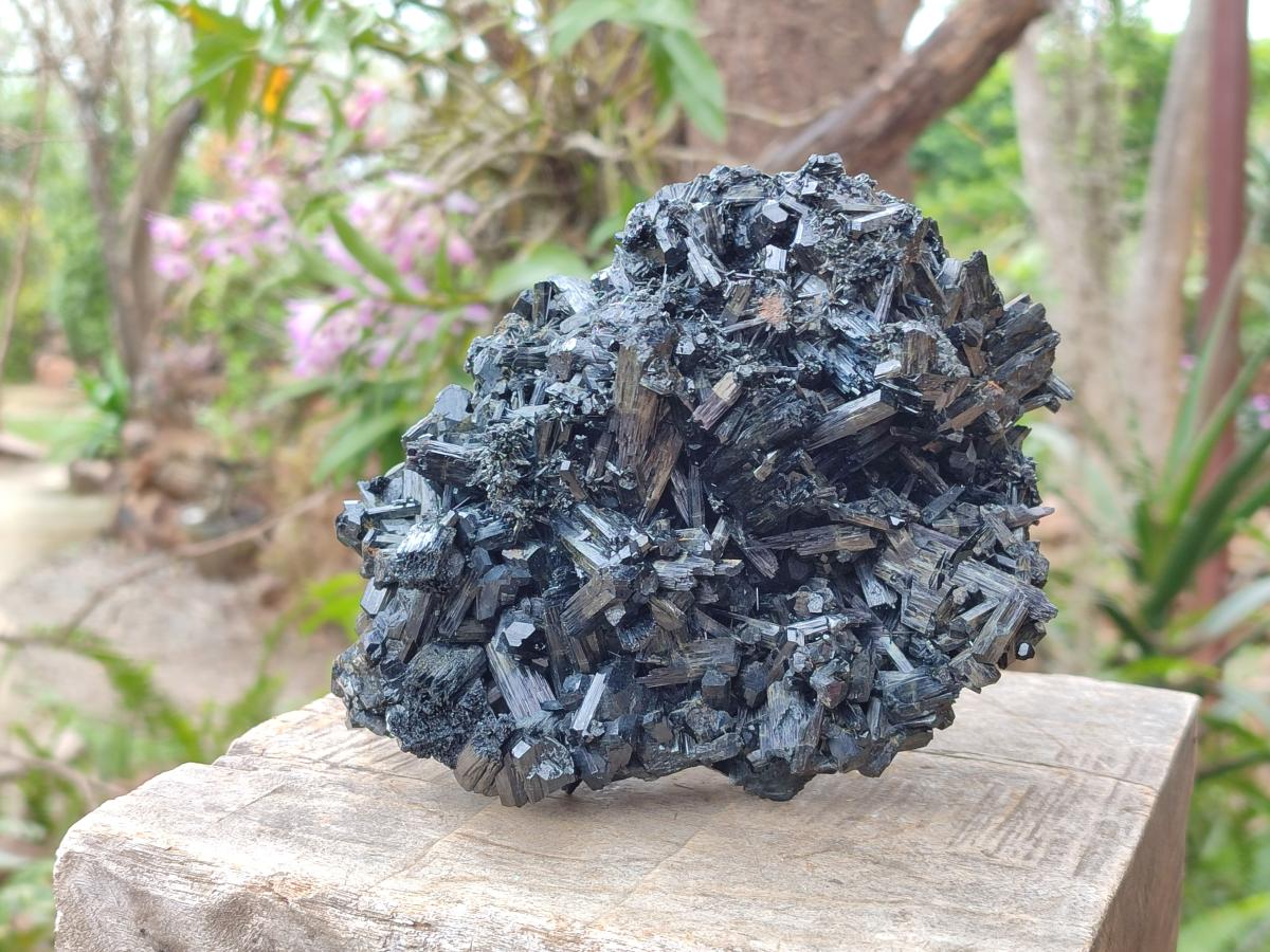 Natural Large Schorl Black Tourmaline Floater Specimen x 1 From Erongo, Namibia