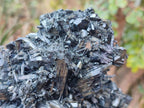 Natural Large Schorl Black Tourmaline Floater Specimen x 1 From Erongo, Namibia
