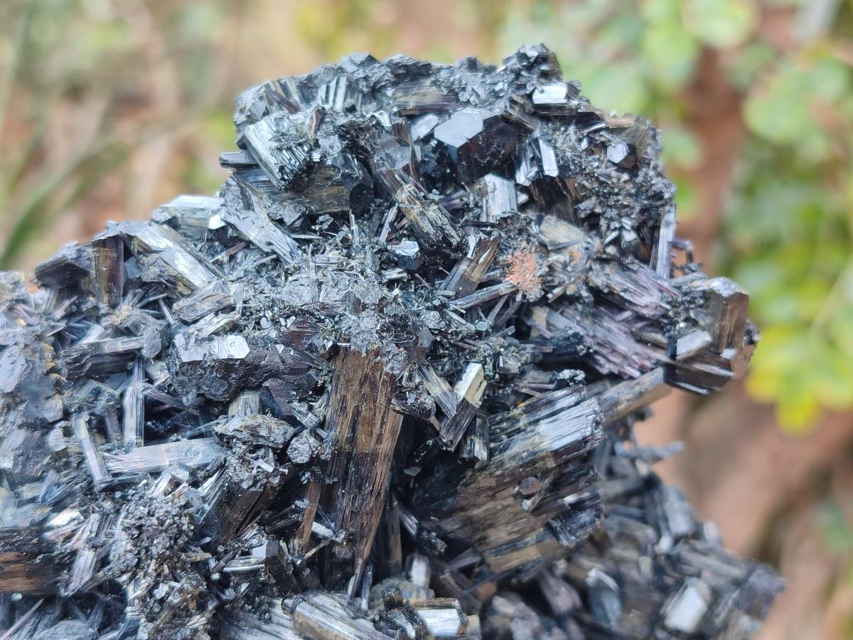 Natural Large Schorl Black Tourmaline Floater Specimen x 1 From Erongo, Namibia