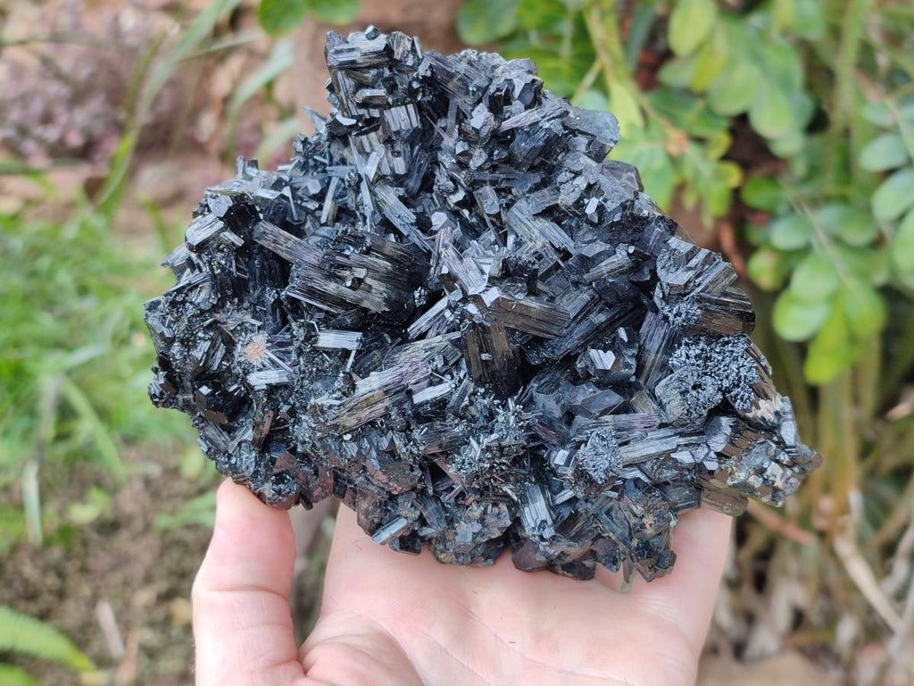 Natural Large Schorl Black Tourmaline Floater Specimen x 1 From Erongo, Namibia