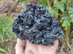 Natural Large Schorl Black Tourmaline Floater Specimen x 1 From Erongo, Namibia