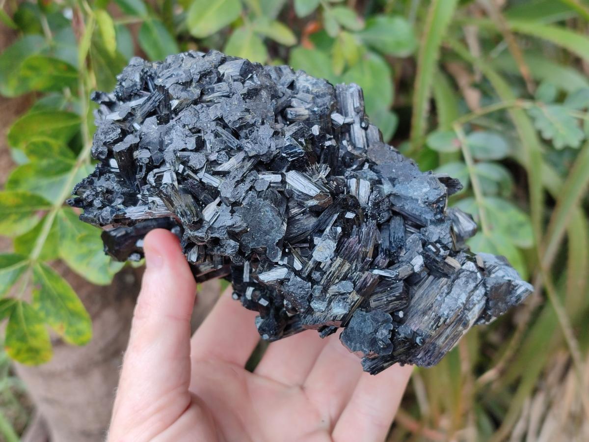 Natural Large Schorl Black Tourmaline Floater Specimen x 1 From Erongo, Namibia