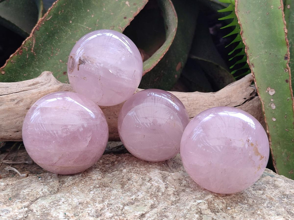 Polished Gemmy Rose Quartz Spheres x 4 From Madagascar