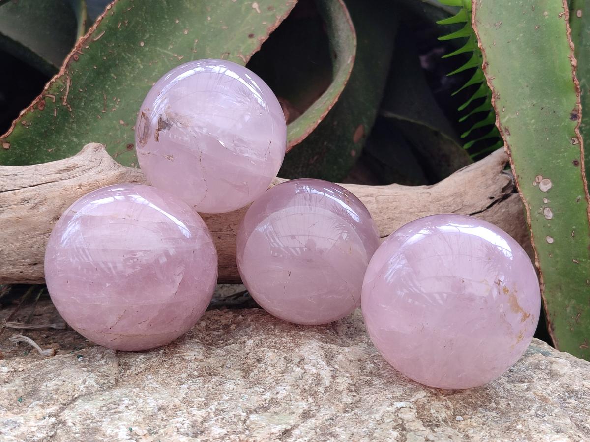 Polished Gemmy Rose Quartz Spheres x 4 From Madagascar