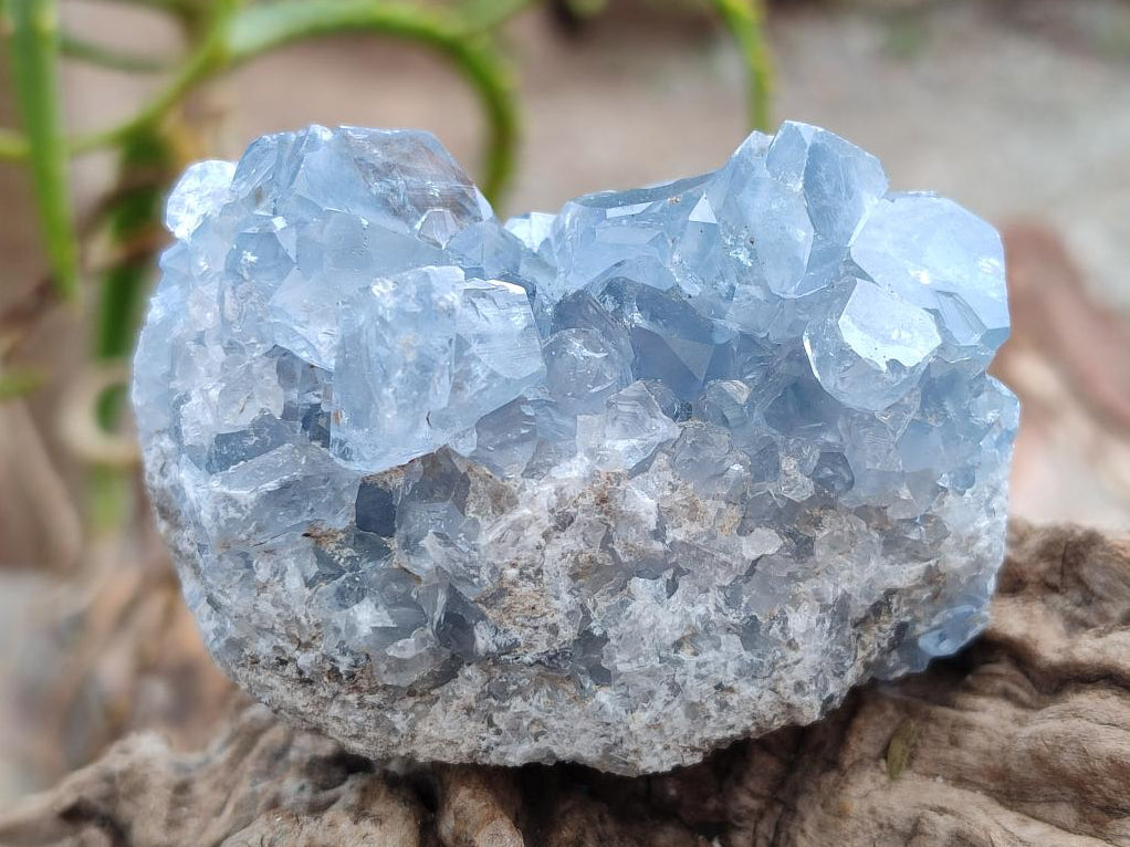 Natural Blue Celestite Specimens x 12 From Sakoany, Madagascar